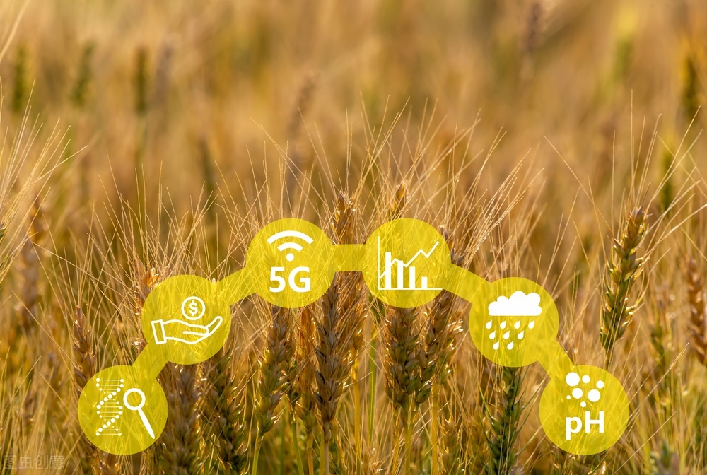 科技助農，智慧興農