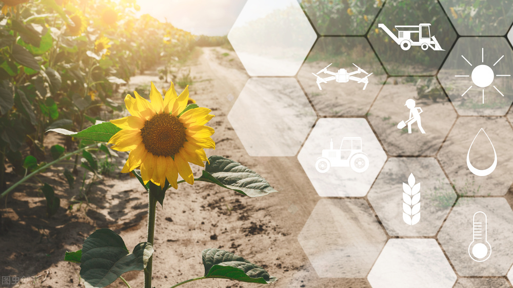 未來智慧農(nóng)業(yè)