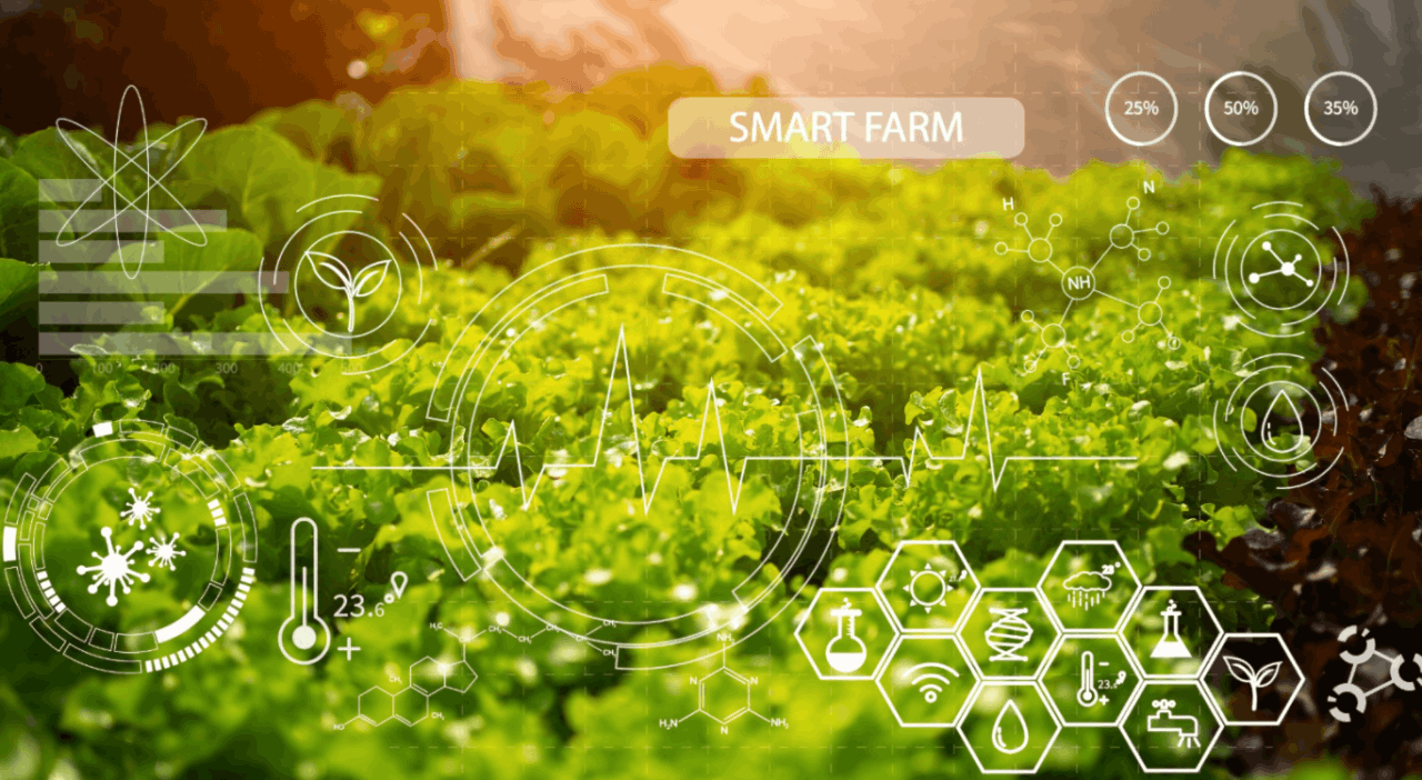 農(nóng)業(yè)數(shù)字化是農(nóng)業(yè)的未來式