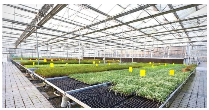 現代設施農業產業園