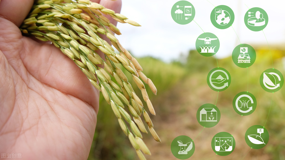 農(nóng)業(yè)數(shù)智人才