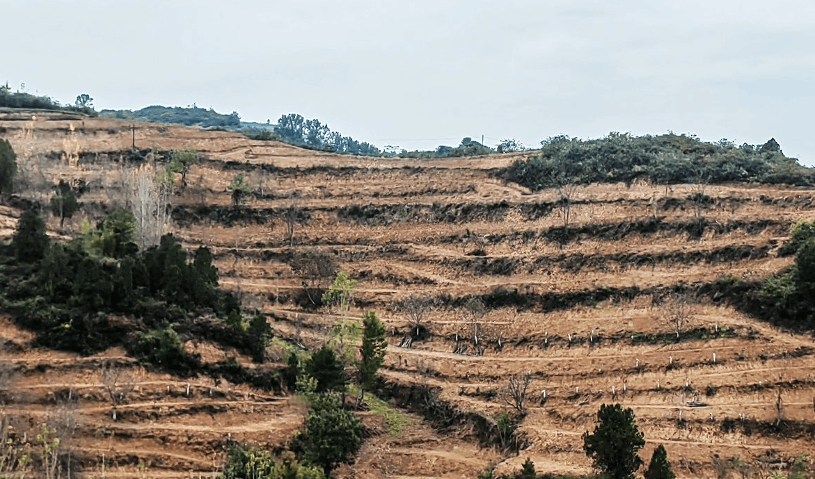 人勤地生金，沃野繪幸福