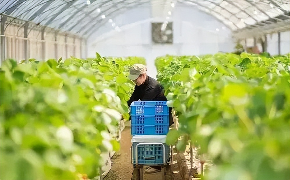 制定統(tǒng)一技術(shù)規(guī)程和標準