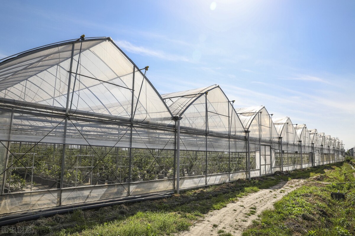現(xiàn)代化智能溫室