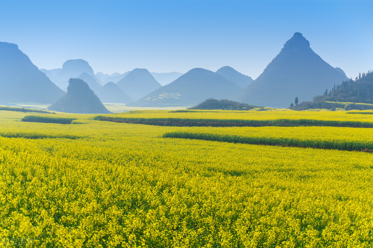 我國智慧農業的發展仍處于初級階段