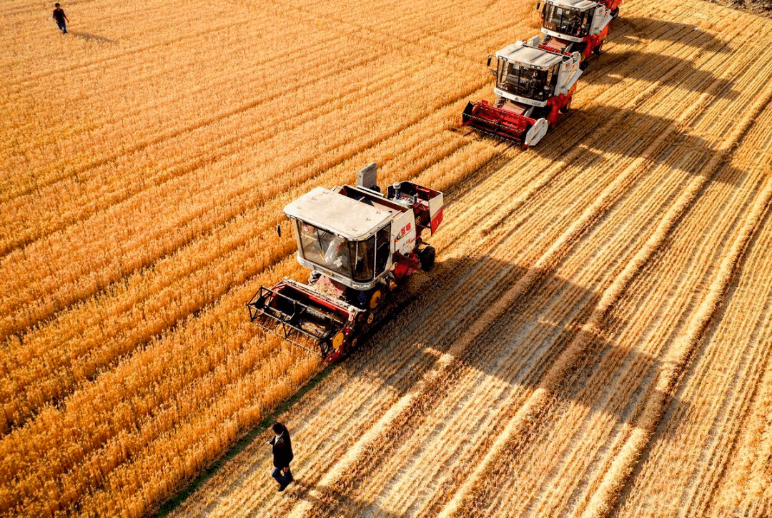 湖州市積極做好“三秋”農(nóng)業(yè)機(jī)械化生產(chǎn)工作