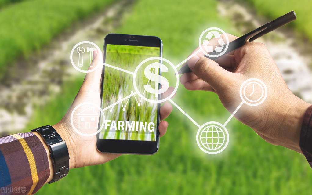 桐鄉(xiāng)市以數(shù)字化改革引領(lǐng)農(nóng)業(yè)高質(zhì)量發(fā)展