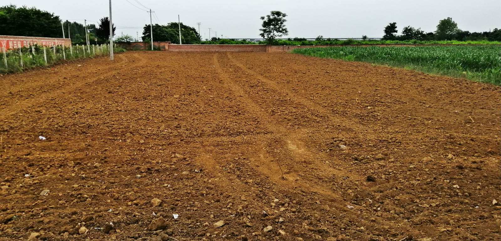 北京這個鎮千畝閑地變良田