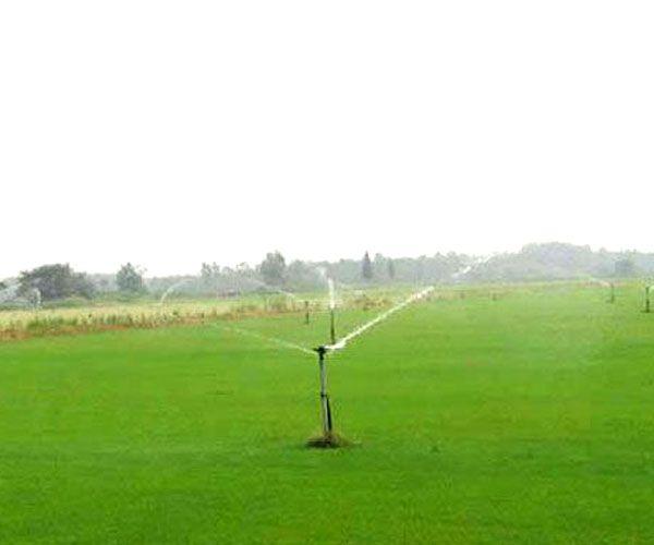 草坪施肥的要領