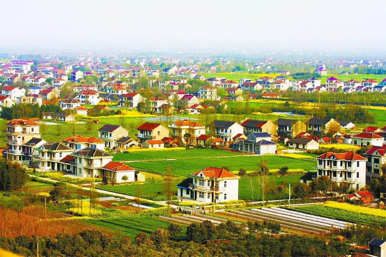 松原：推進農業農村高質量發展