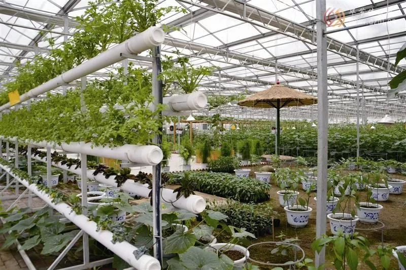 淮安市淮陰區以農業“園區化”引領農業“現代化”