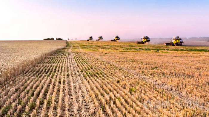 藤縣計劃秋冬種農(nóng)作面積約35萬畝 讓冬閑田變成豐收田