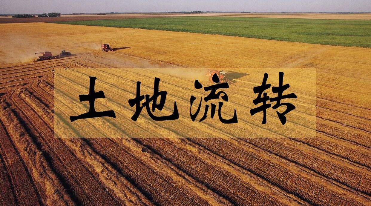 天津濱海新區：土地流轉進場交易讓村集體和村民雙受益