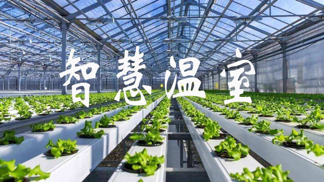 智能溫室大棚展現(xiàn)的七種形式