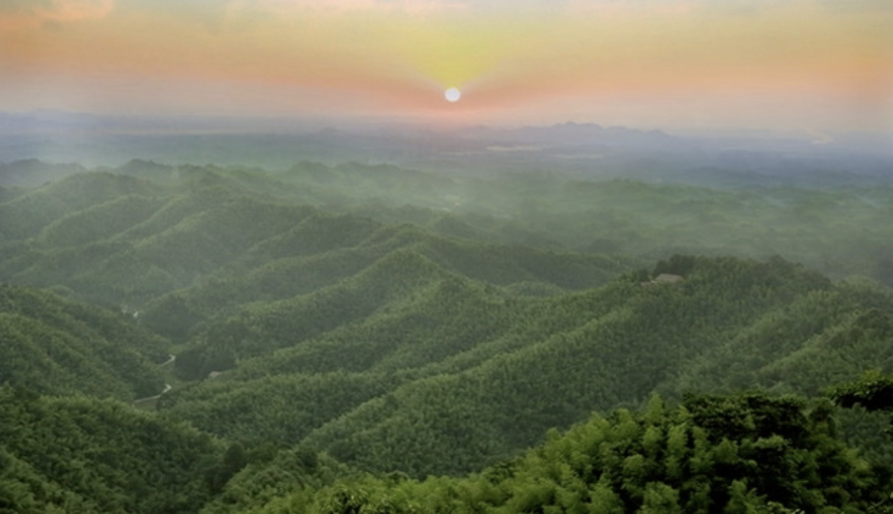 堅持整體聯動,打造“關注點”