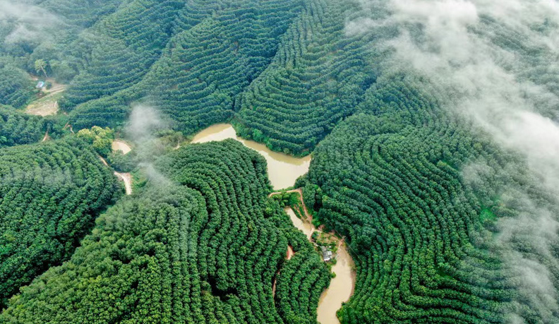 農業綠色化產業升級