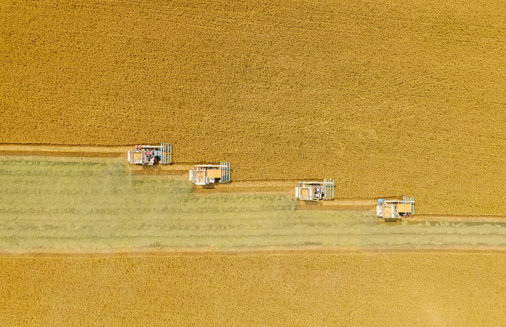 發展數字農業的現實隱憂