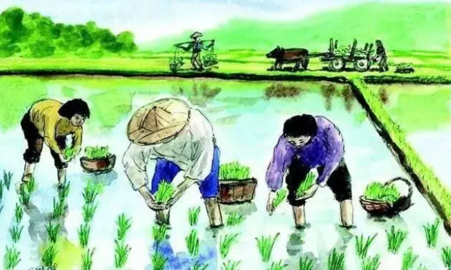 荔浦市雙江鎮特色產業