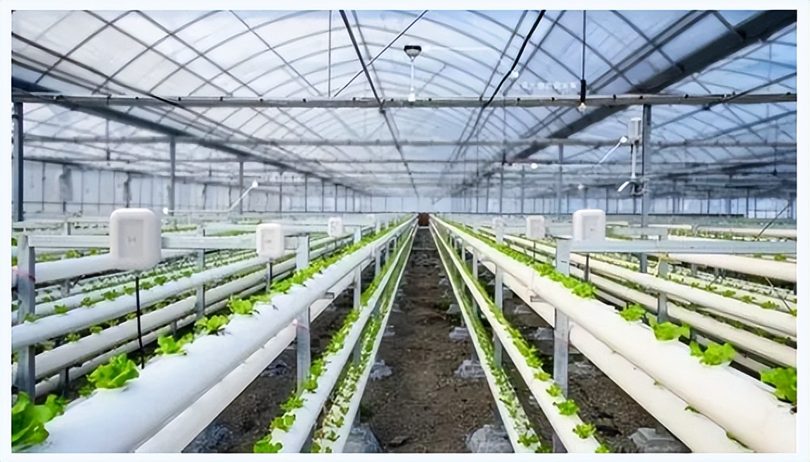 智慧農業解決方案