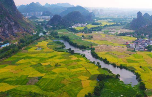 南寧市武鳴區(qū)畜禽糞肥還田示范基地