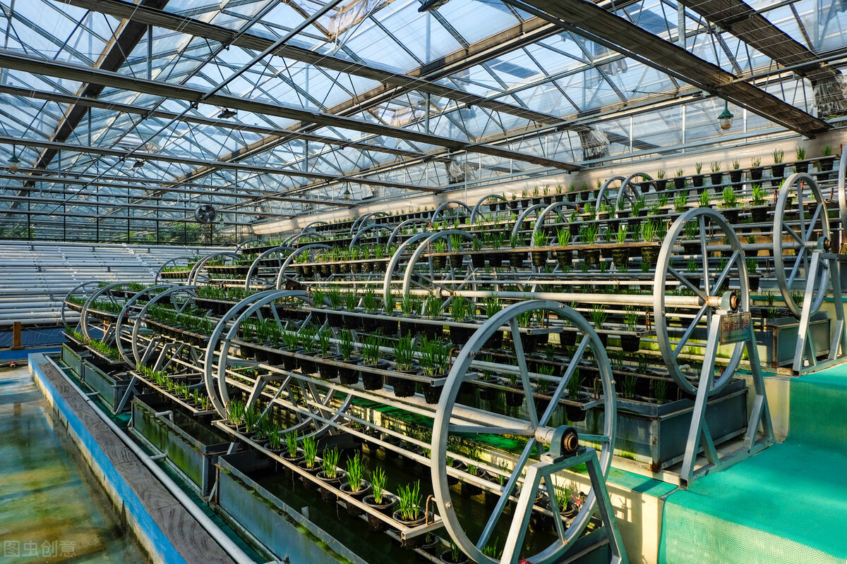 高科技試驗(yàn)基地科普溫室