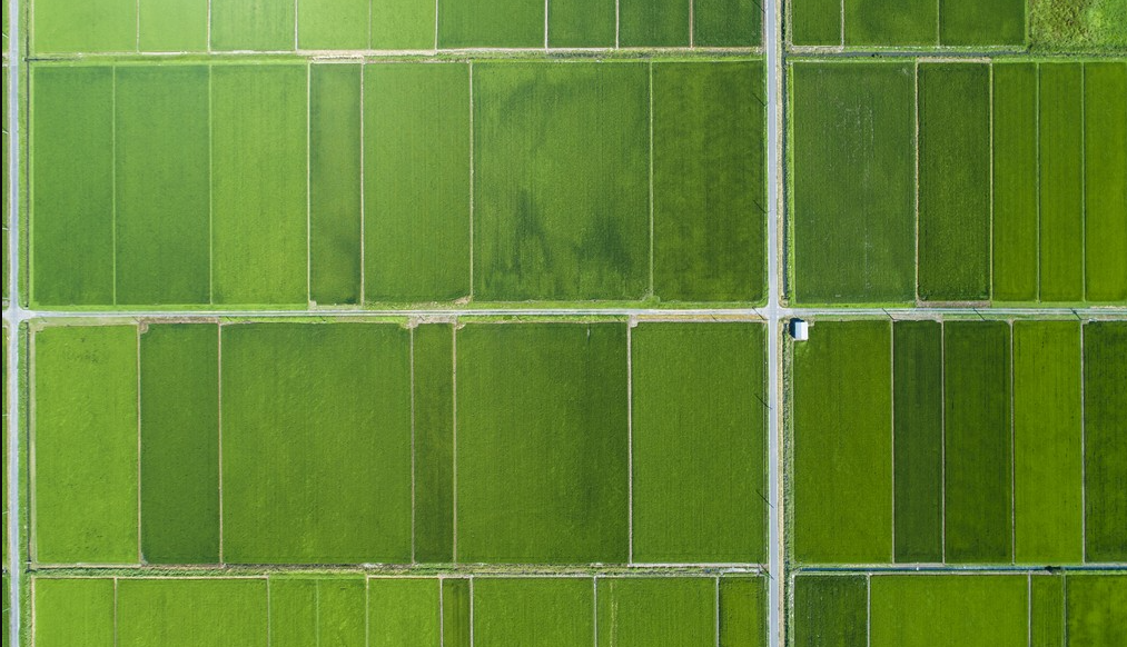 高標準農田（數字化、標準化）