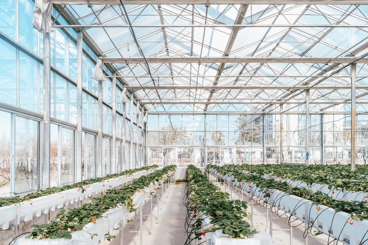 水肥一體化應(yīng)用