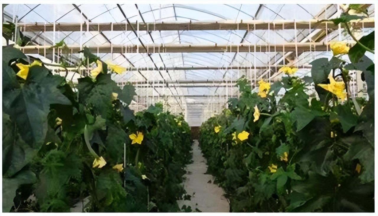 智慧農(nóng)業(yè)園區(qū)