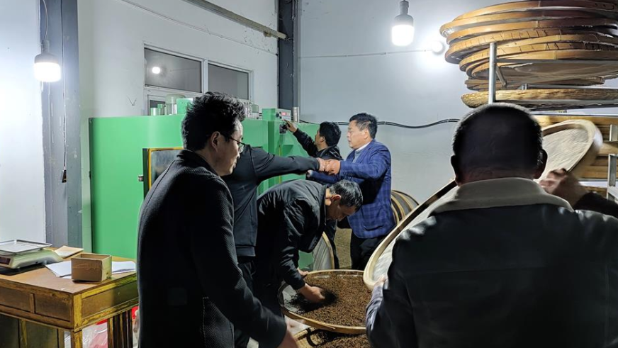 大塘村紅茶制作現(xiàn)場