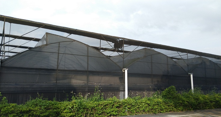 智能溫室遮陽網的應用