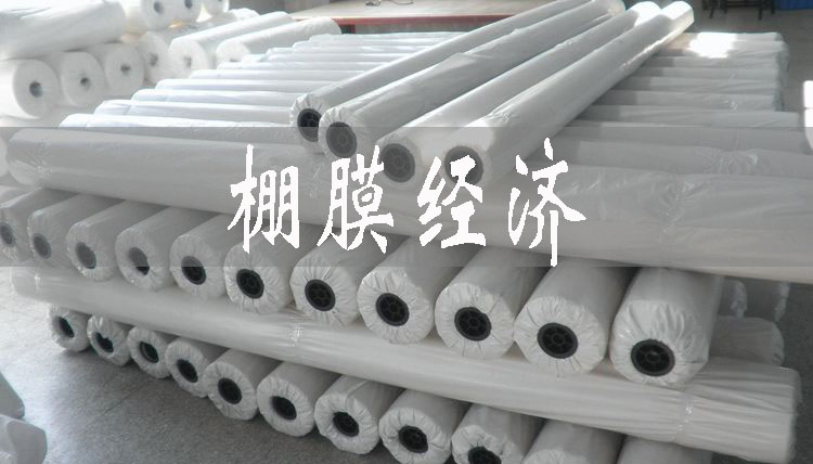 通化市穩(wěn)步推進(jìn)棚膜經(jīng)濟(jì)發(fā)展