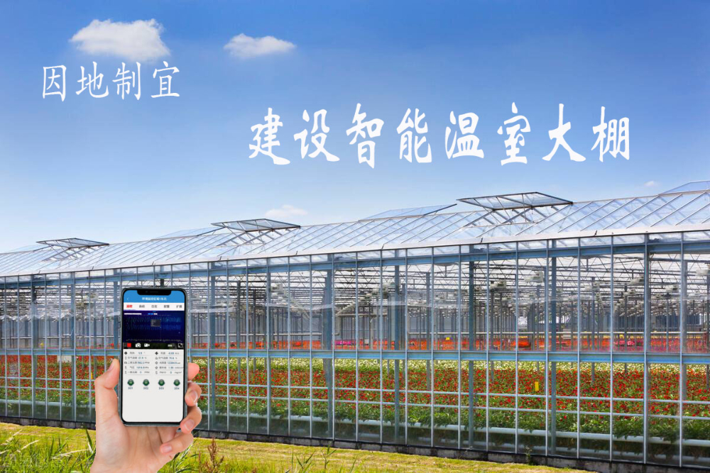 智能大棚在搭建設計要點
