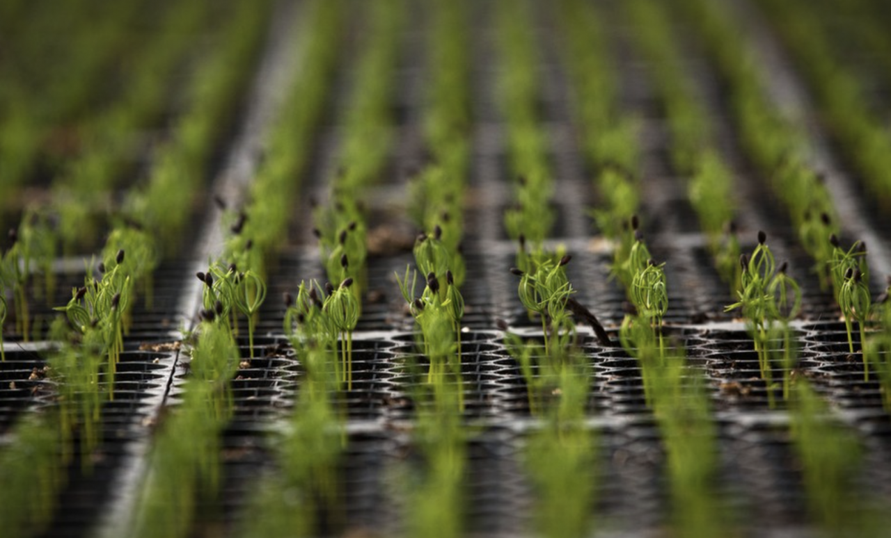 推進農(nóng)業(yè)生產(chǎn)經(jīng)營和管理服務(wù)數(shù)字化改造