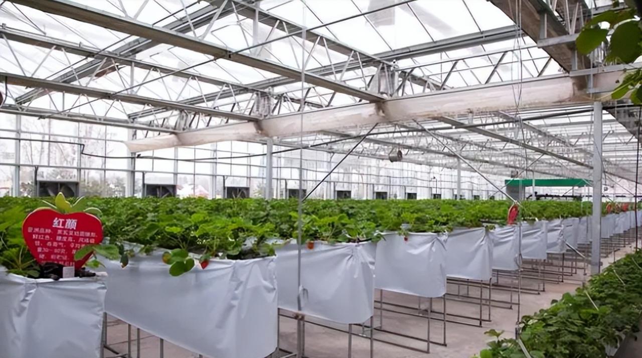 智能溫室控制系統(tǒng)