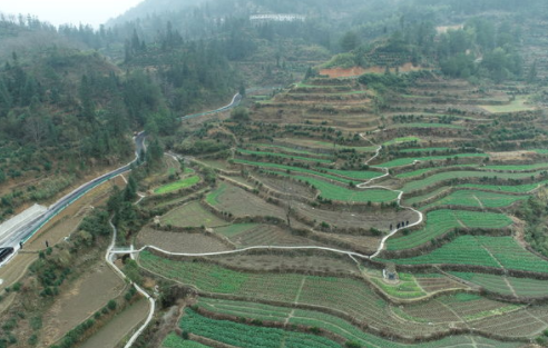 雄村鎮高標準農田項目建設正如火如荼的展開