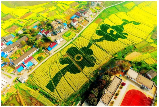 新時(shí)代農(nóng)業(yè)農(nóng)村發(fā)展