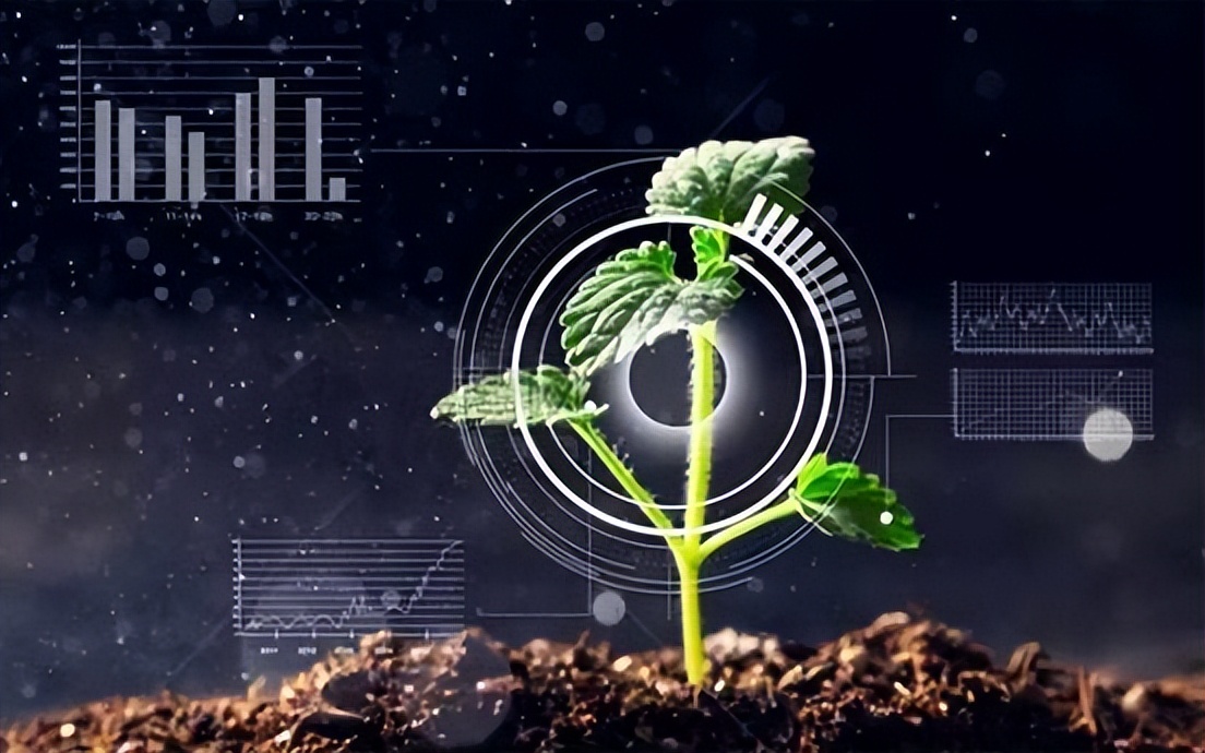 智慧園林，智能管理