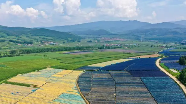 特色產(chǎn)業(yè)