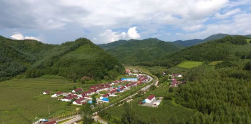 休閑農(nóng)業(yè)