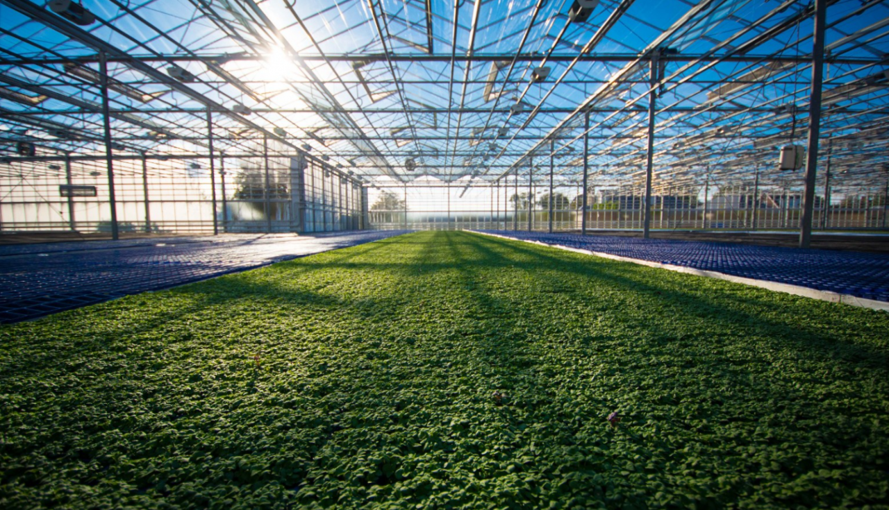 農(nóng)業(yè)信息化