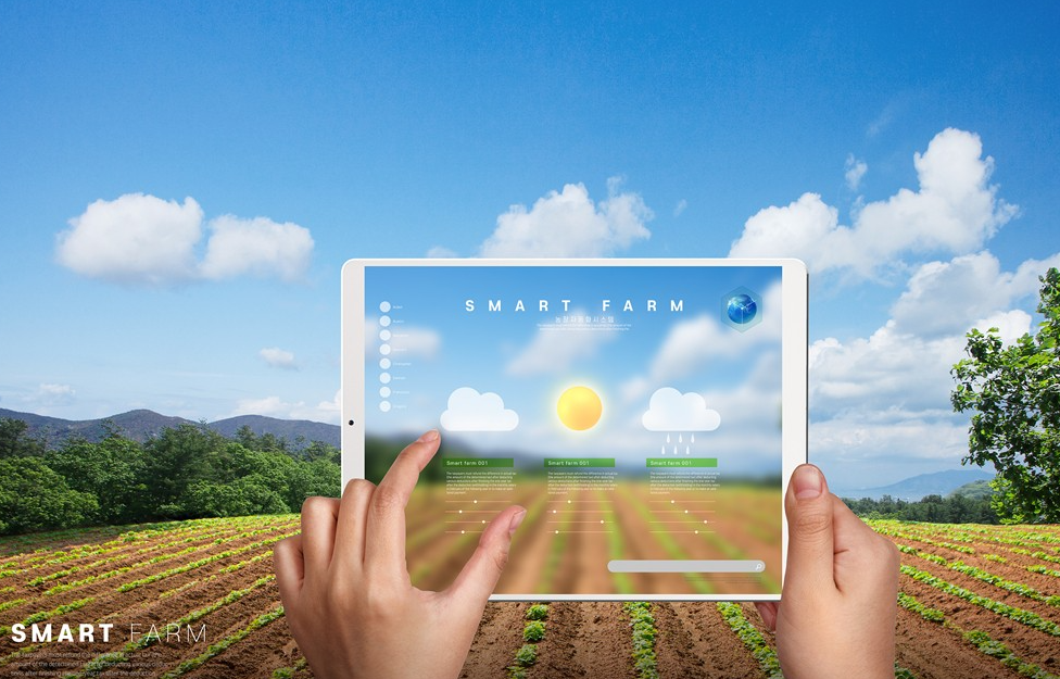 黨的”二十大”工作報(bào)告