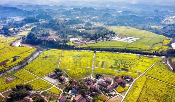 助推鄉村產業提質增效