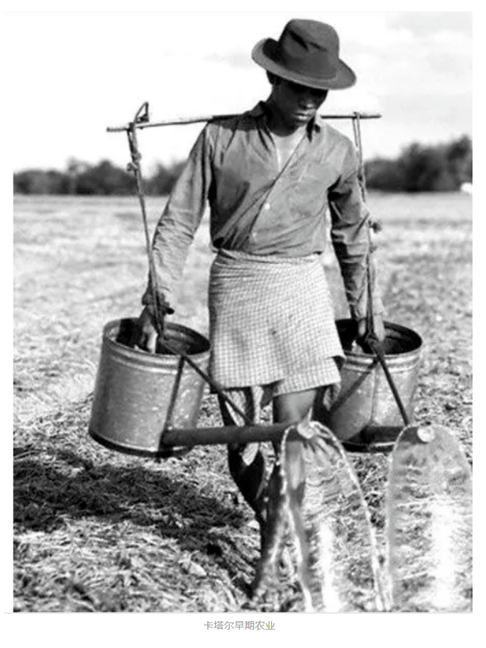 卡塔爾是沙漠國家,全國沒有天然可耕地