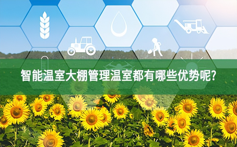 智能溫室大棚監(jiān)控系統(tǒng)管理溫室都有哪些顯著的優(yōu)勢呢?