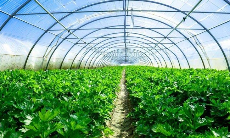 智能溫室控制系統(tǒng)的功能