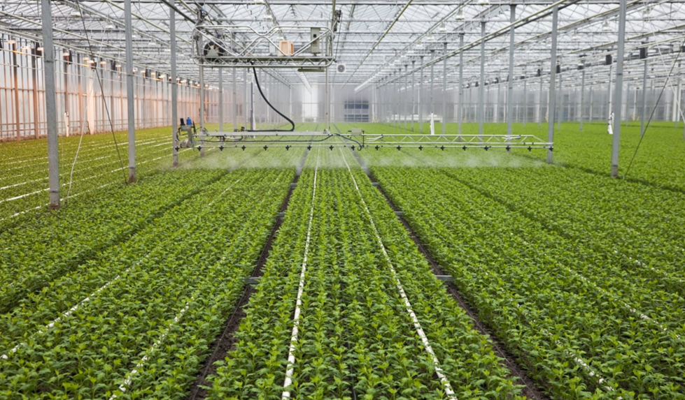 低碳農(nóng)業(yè)是創(chuàng)新農(nóng)業(yè)發(fā)展模式的戰(zhàn)略制高點(diǎn)