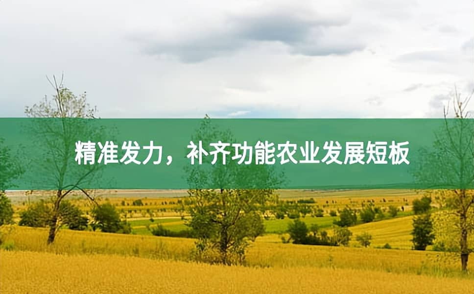 精準發力，補齊功能農業發展短板