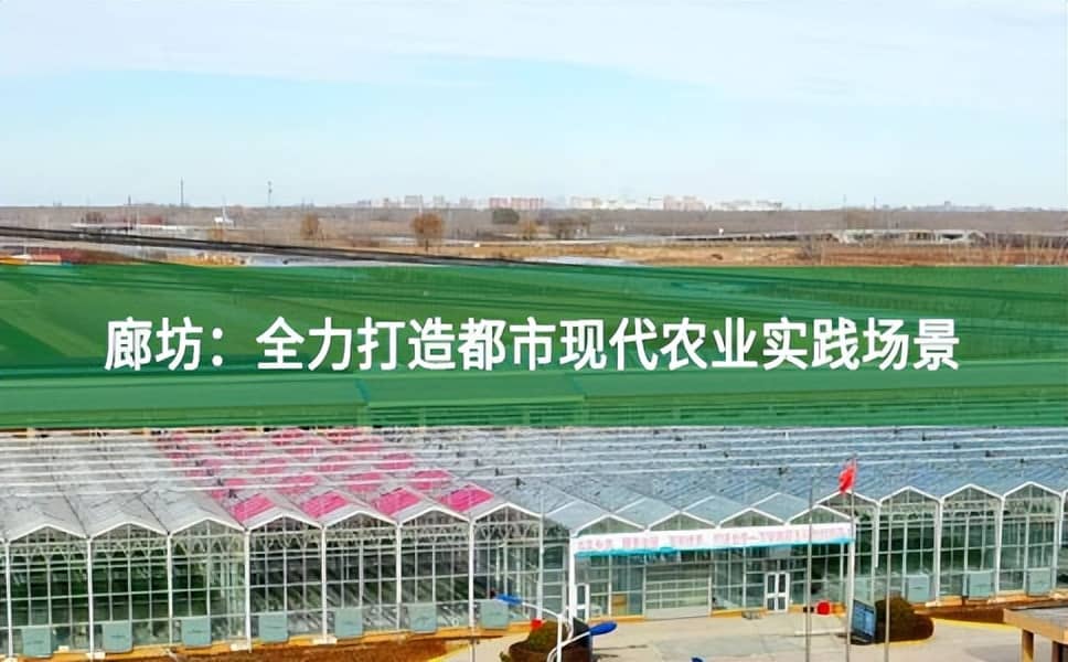 廊坊：全力打造都市現(xiàn)代農(nóng)業(yè)實(shí)踐場(chǎng)景