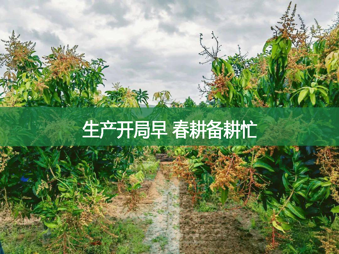 生產開局早 春耕備耕忙