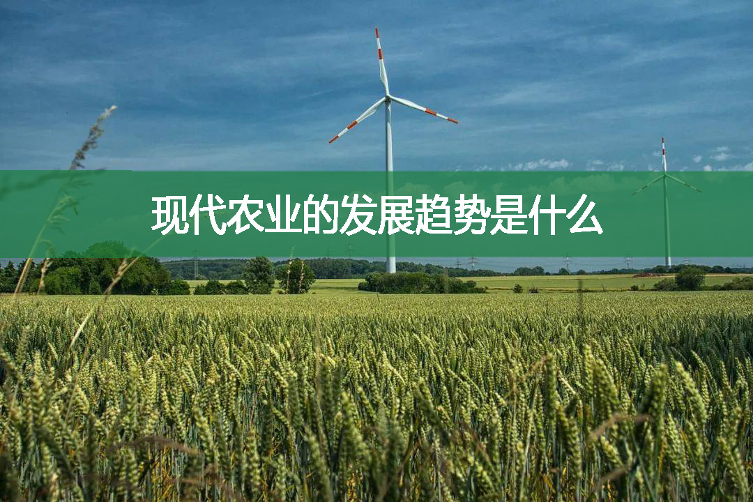 現(xiàn)代農(nóng)業(yè)的發(fā)展趨勢是什么
